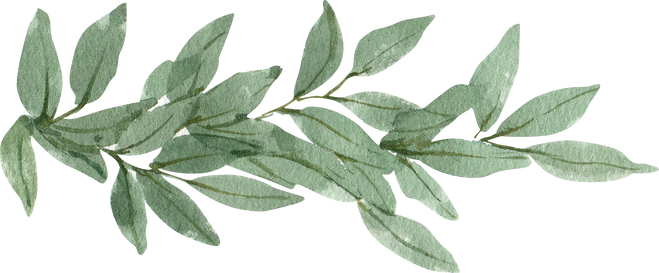 Watercolor Branch with Leaves